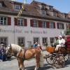 Restaurant Hotel zum schwarzen Ross und Gutmann zur Post in Hilpoltstein (Bayern / Roth)]