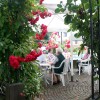 Restaurant Landgasthaus Zum Alten Fritz in Asbach-Lhe (Rheinland-Pfalz / Neuwied)]