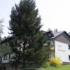 Restaurant Hotel Maienhof in Wald-Michelbach (Hessen / Bergstrae)]