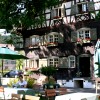 Restaurant im Hotel Traube in Oberstaufen (Bayern / Oberallgu)]