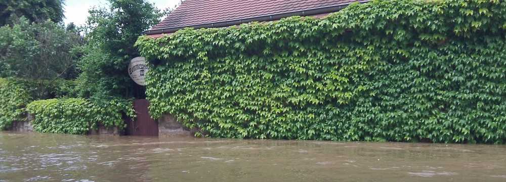 Zum Gercht in Dresden