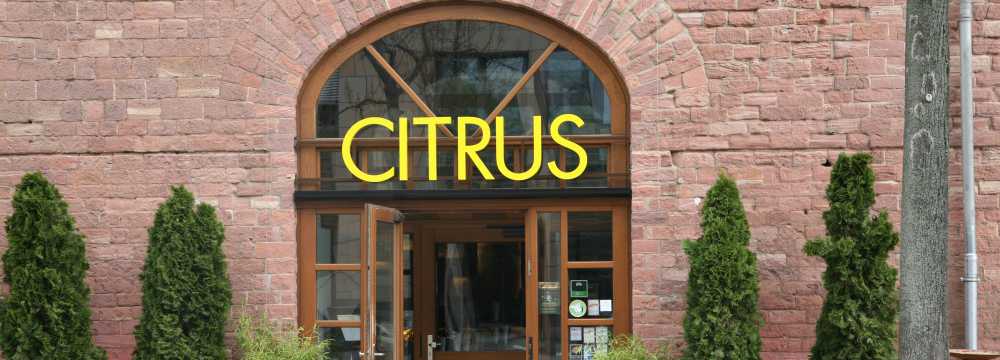 Citrus Bar & Restaurant in Mainz