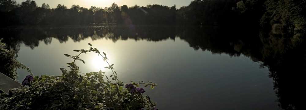 Restaurant Boddensee in Birkenwerder