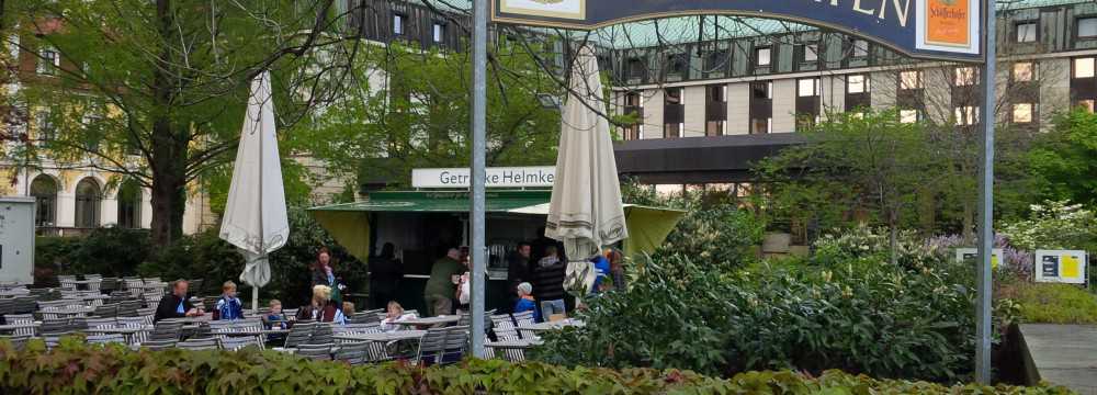 Biergarten Elbsegler in Dresden