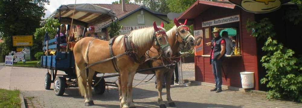 Hotel & Restaurant Alte Molkerei Klleda in Klleda