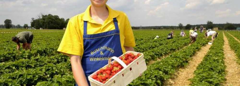 Spargel- und Erlebnishof Klaistow in Klaistow