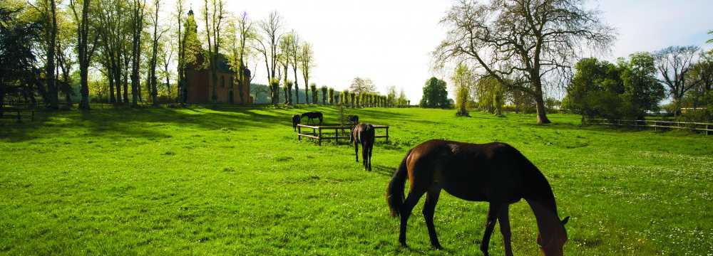 Hotel & Restaurant Ole Liese in Panker