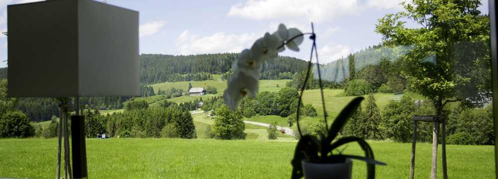 Parkhotel Flora in Schluchsee