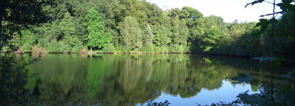 Schne Aussicht in Lemgo