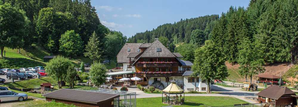 Schwarzwaldgasthof Tannenmhle in Grafenhausen