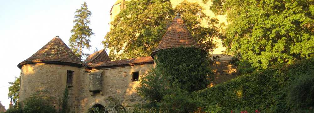 Burg Guttenberg Gastro GmbH in Hamersheim