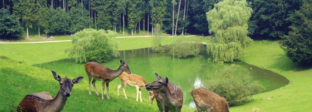 Wildpark-Restaurant Schwarze Berge in Rosengarten