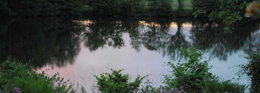 Landhotel Seelust in Hennstedt