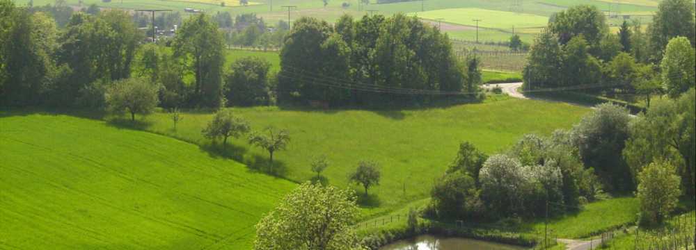 Panorama Hotel & Restaurant Schloberg in Alzenau in Unterfranken