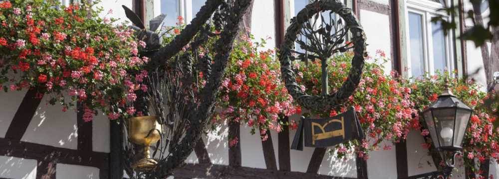 Hotel Restaurant Zum Grnen Baum in Michelstadt