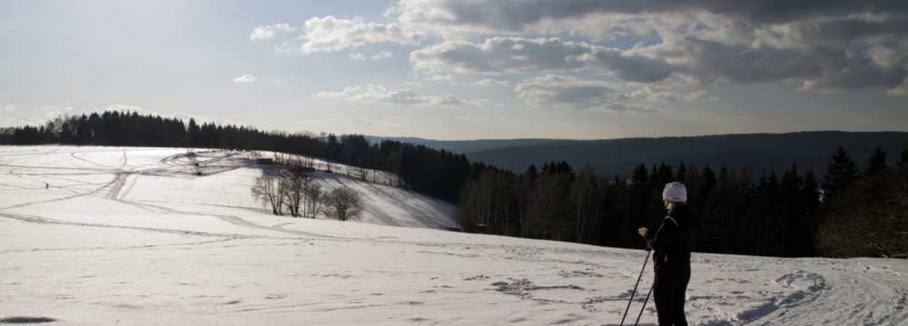 Hotel & Restaurant Zum Postillion  in Klingenthal