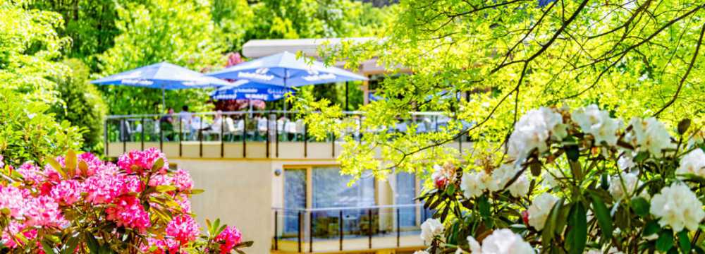 Hotel Restaurant 'Villa Marburg im Park' in Heigenbrcken