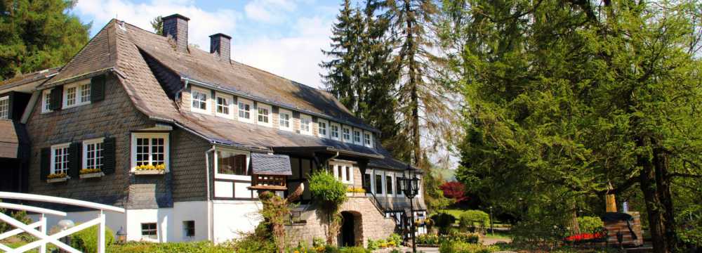 Romantik Hotel Stryckhaus in Willingen (Upland)