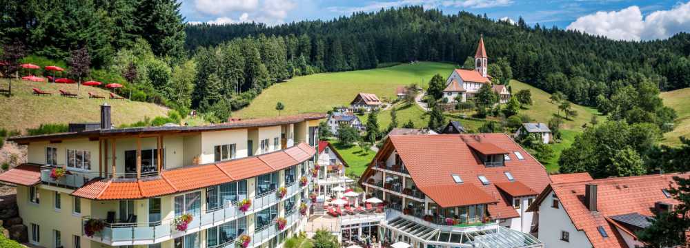 Naturparkhotel Adler in Wolfach