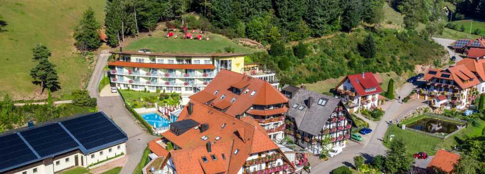 Naturparkhotel Adler in Wolfach