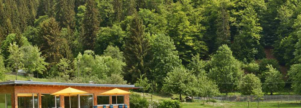 Hotel Gasthof Sommerau  in Bonndorf